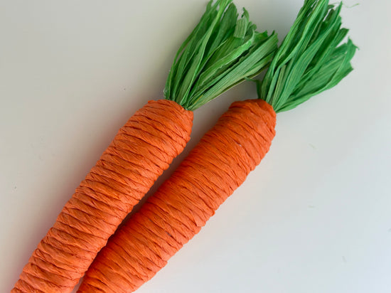 Set de 6 zanahorias de fibra
