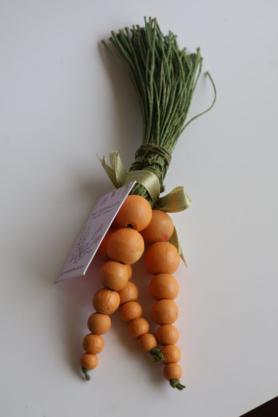 Set de 3 wood carrots