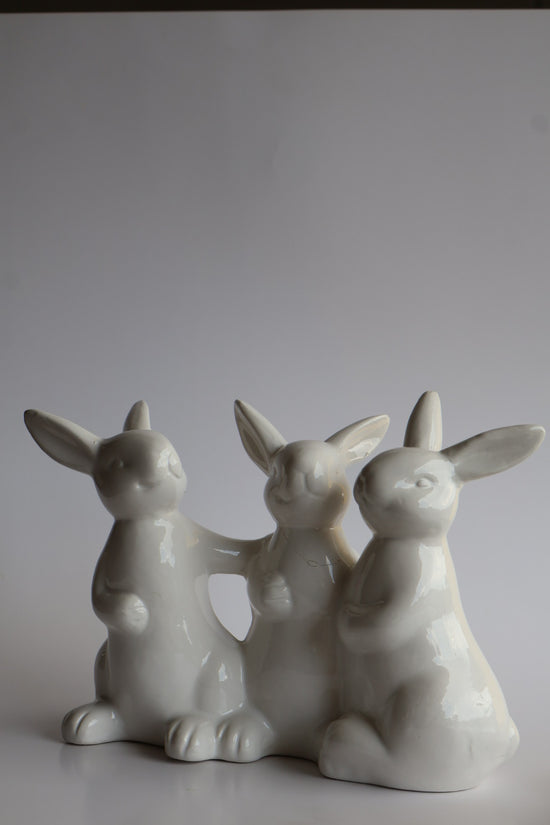 Conejo en trio blanco