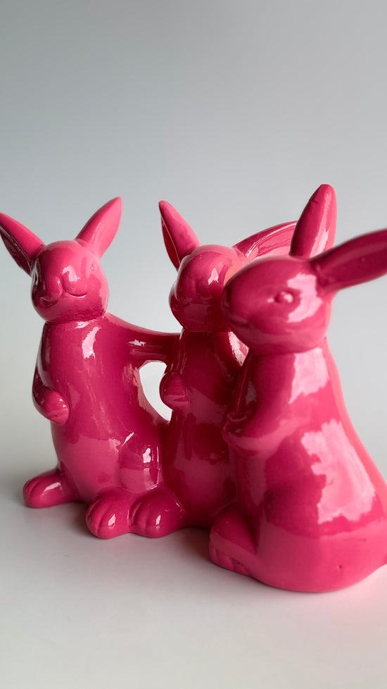 Conejo en trio fucsia